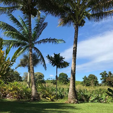 Island Goode'S - Luxury Adult Only Accommodation Near Hilo Papaikou Экстерьер фото