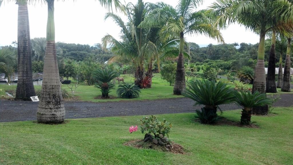 Island Goode'S - Luxury Adult Only Accommodation Near Hilo Papaikou Экстерьер фото