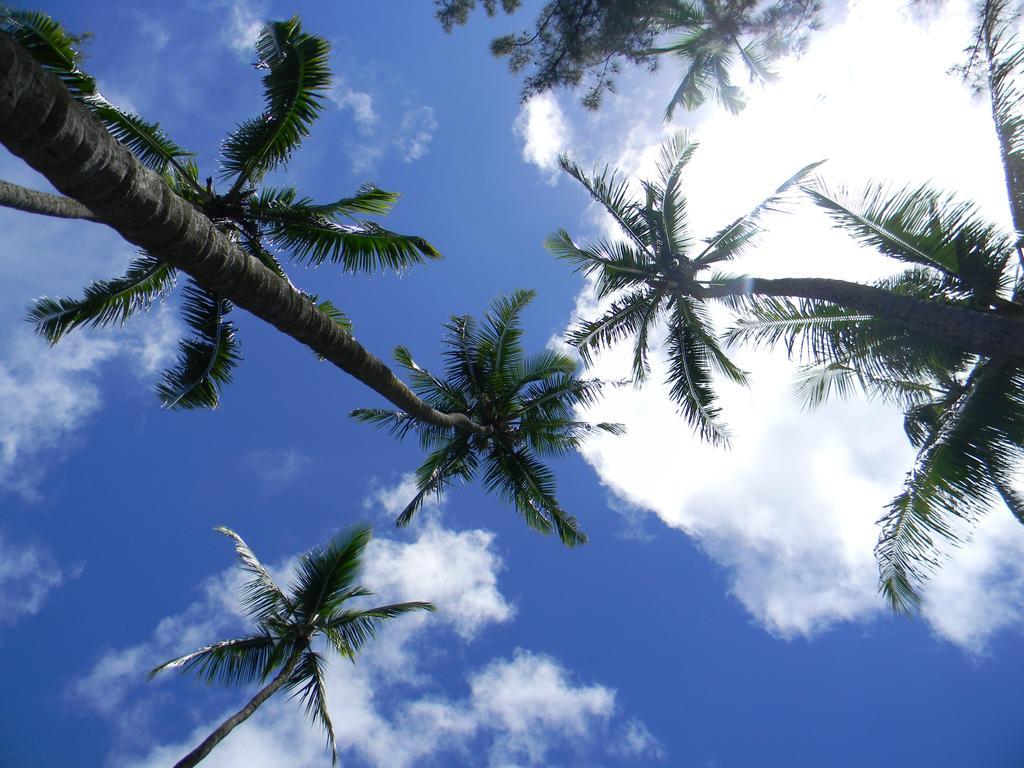 Island Goode'S - Luxury Adult Only Accommodation Near Hilo Papaikou Экстерьер фото