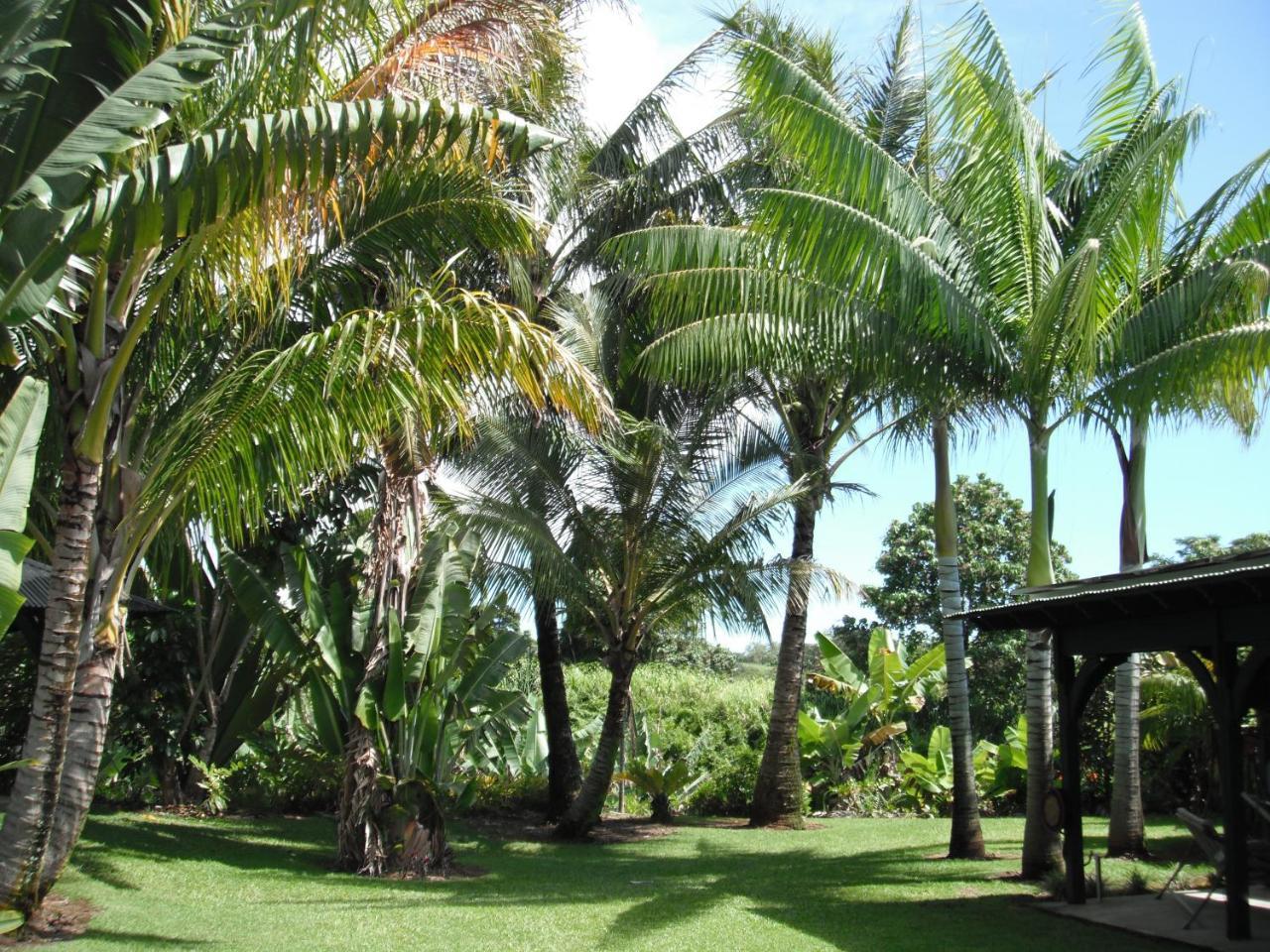 Island Goode'S - Luxury Adult Only Accommodation Near Hilo Papaikou Экстерьер фото